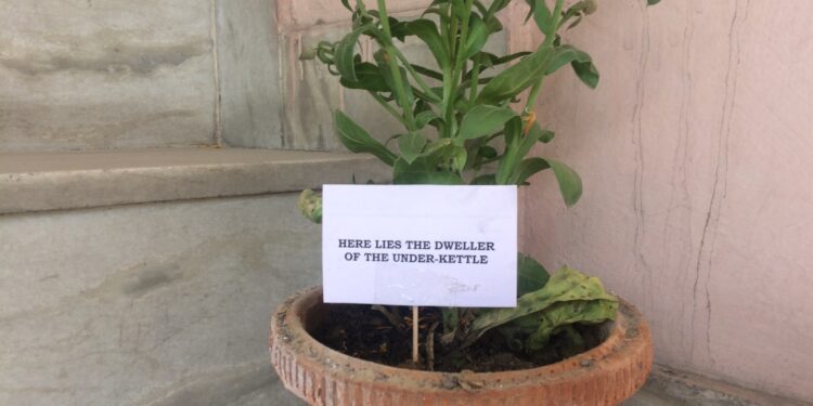 The Dweller of the Under-Kettle – II